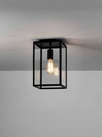 1095021 , Homefield Ceiling Bk