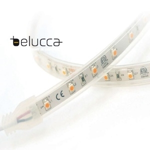BELUCCA,606568,LED 60*5050  STRIP  72W 6500K 1200lm/m