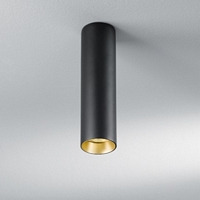 D312 , BALI plafond armatuur, zwart / reflector zwart 1x50W/GU10