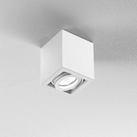 D361 , lamp BOX 1 plafond armatuur, enkel, grijs 1x35W/GU10