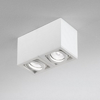 D362 , lamp BOX 2 plafond armatuur, dubbel, grijs 2x35W/GU10