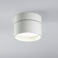 D253 , PIPER LED-plafond armatuur, wit 1x15W LED 3000K incl. driver CRI>90