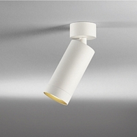 D642 , REED AB spot met plafond plaat, zwart / reflector zwart 1x50W/GU10