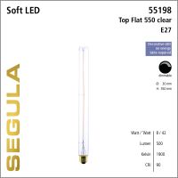 SG-55198 , LED T30 Top Flat 500 clear