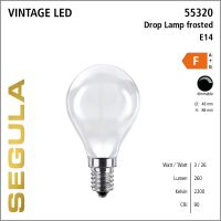 SG-55320 , LED Drop Lamp frosted