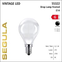 SG-55322 , LED Drop Lamp frosted